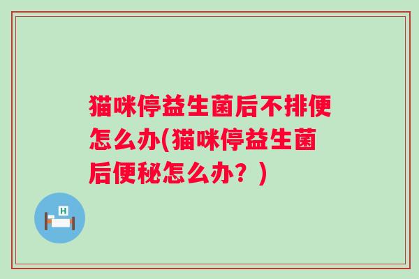 猫咪停益生菌后不排便怎么办(猫咪停益生菌后怎么办？)