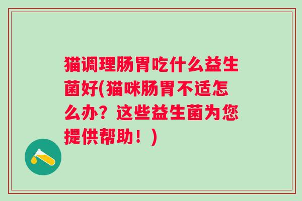 猫调理肠胃吃什么益生菌好(猫咪肠胃不适怎么办?这些益生菌为您提供帮助!) 猫调理肠胃吃什么益生菌好(猫咪肠胃不适怎么办?这些益生菌为您提供帮助!)