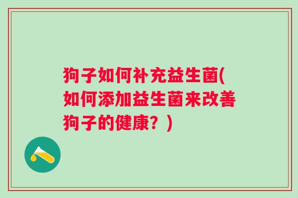狗子如何补充益生菌(如何添加益生菌来改善狗子的健康?) 狗子如何补充益生菌(如何添加益生菌来改善狗子的健康?)