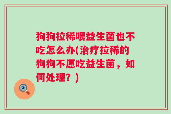 狗狗拉稀喂益生菌也不吃怎么办(拉稀的狗狗不愿吃益生菌,如何处理?) 狗狗拉稀喂益生菌也不吃怎么办(拉稀的狗狗不愿吃益生菌,如何处理?)