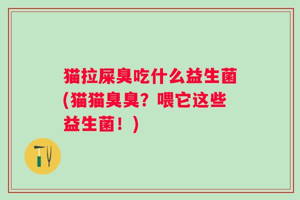 猫拉屎臭吃什么益生菌(猫猫臭臭？喂它这些益生菌！)