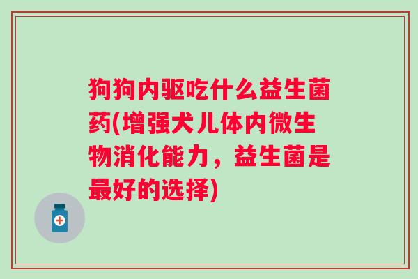 狗狗内驱吃什么益生菌药(增强犬儿体内微生物消化能力,益生菌是好的选择) 狗狗内驱吃什么益生菌药(增强犬儿体内微生物消化能力,益生菌是好的选择)