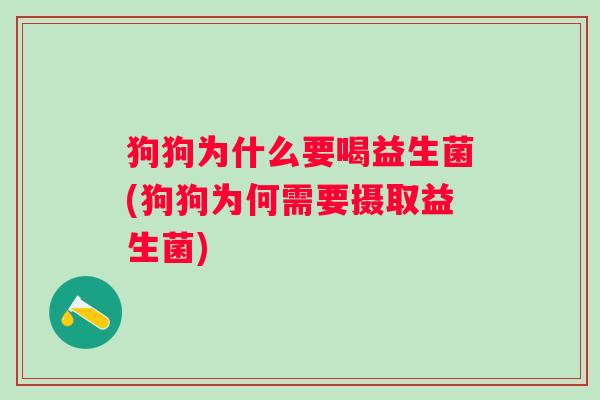 狗狗为什么要喝益生菌(狗狗为何需要摄取益生菌)