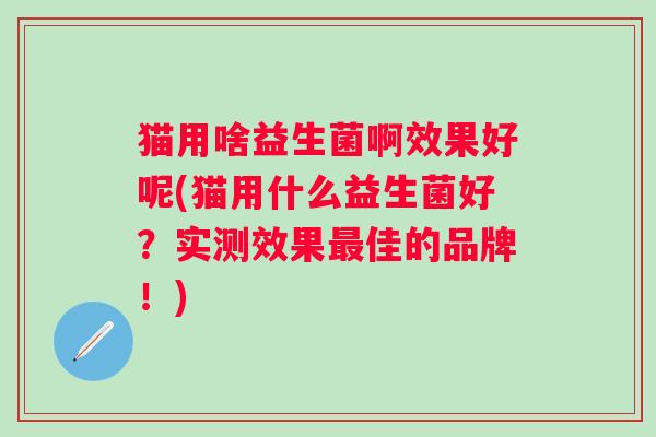 猫用啥益生菌啊效果好呢(猫用什么益生菌好？实测效果佳的品牌！)
