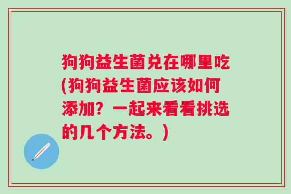 狗狗益生菌兑在哪里吃(狗狗益生菌应该如何添加?一起来看看挑选的几个方法。) 狗狗益生菌兑在哪里吃(狗狗益生菌应该如何添加?一起来看看挑选的几个方法。)