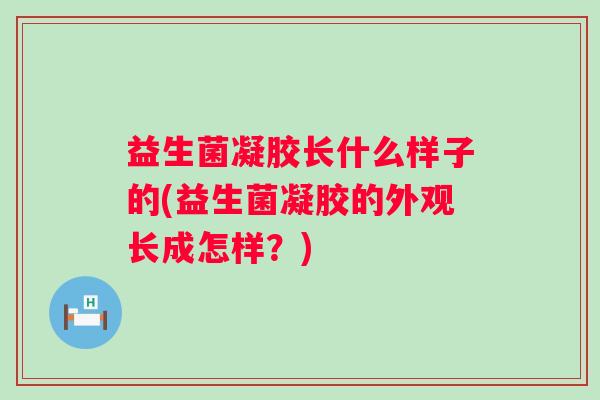 益生菌凝胶长什么样子的(益生菌凝胶的外观长成怎样?) 益生菌凝胶长什么样子的(益生菌凝胶的外观长成怎样?)