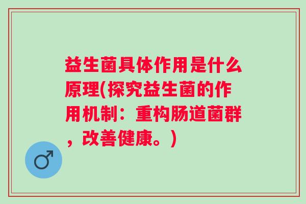 益生菌具体作用是什么原理(探究益生菌的作用机制：重构肠道菌群，改善健康。)