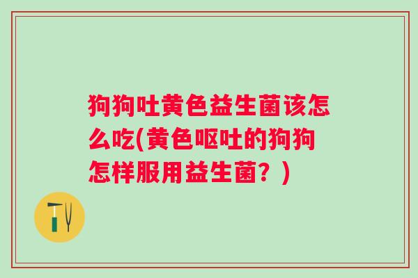 狗狗吐黄色益生菌该怎么吃(黄色的狗狗怎样服用益生菌?) 狗狗吐黄色益生菌该怎么吃(黄色的狗狗怎样服用益生菌?)
