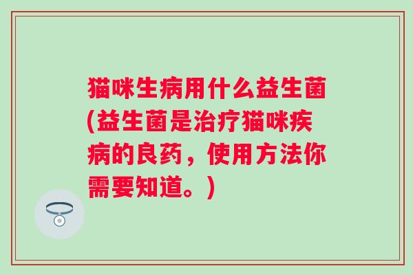 猫咪生用什么益生菌(益生菌是猫咪的良药,使用方法你需要知道。) 猫咪生用什么益生菌(益生菌是猫咪的良药,使用方法你需要知道。)