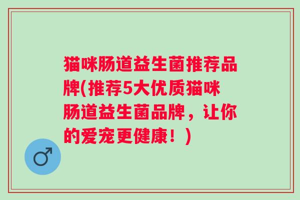 猫咪肠道益生菌推荐品牌(推荐5大优质猫咪肠道益生菌品牌，让你的爱宠更健康！)