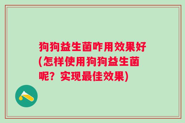 狗狗益生菌咋用效果好(怎样使用狗狗益生菌呢？实现佳效果)