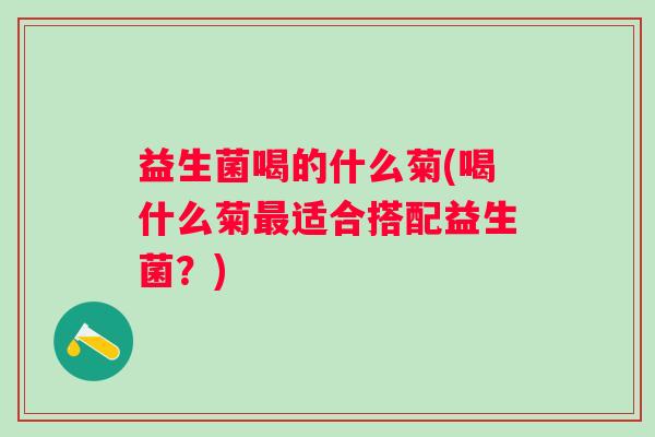 益生菌喝的什么菊(喝什么菊适合搭配益生菌？)