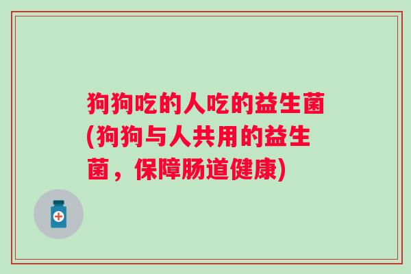 狗狗吃的人吃的益生菌(狗狗与人共用的益生菌,保障肠道健康) 狗狗吃的人吃的益生菌(狗狗与人共用的益生菌,保障肠道健康)