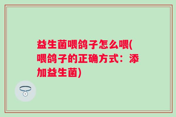 益生菌喂鸽子怎么喂(喂鸽子的正确方式:添加益生菌) 益生菌喂鸽子怎么喂(喂鸽子的正确方式:添加益生菌)
