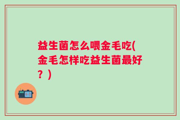 益生菌怎么喂金毛吃(金毛怎样吃益生菌好？)