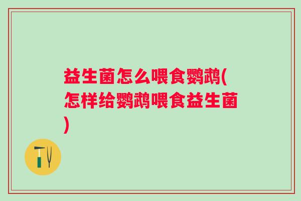 益生菌怎么喂食鹦鹉(怎样给鹦鹉喂食益生菌)