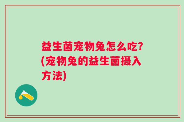 益生菌宠物兔怎么吃?(宠物兔的益生菌摄入方法) 益生菌宠物兔怎么吃?(宠物兔的益生菌摄入方法)