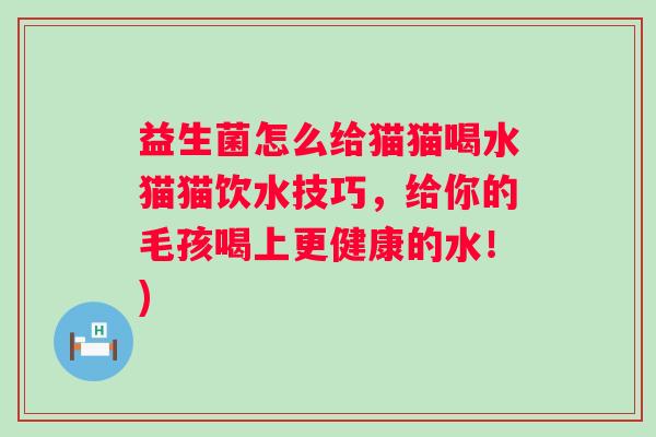 益生菌怎么给猫猫喝水猫猫饮水技巧,给你的毛孩喝上更健康的水!) 益生菌怎么给猫猫喝水猫猫饮水技巧,给你的毛孩喝上更健康的水!)