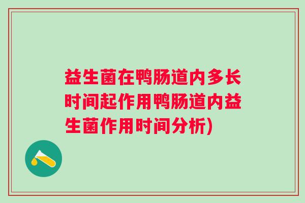 益生菌在鸭肠道内多长时间起作用鸭肠道内益生菌作用时间分析) 益生菌在鸭肠道内多长时间起作用鸭肠道内益生菌作用时间分析)