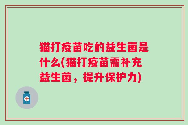 猫打疫苗吃的益生菌是什么(猫打疫苗需补充益生菌,提升保护力) 猫打疫苗吃的益生菌是什么(猫打疫苗需补充益生菌,提升保护力)