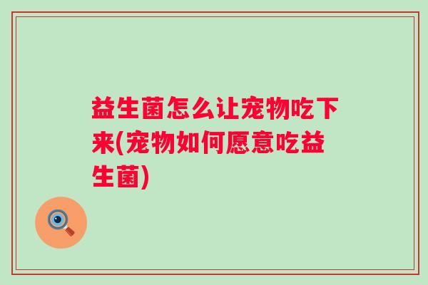 益生菌怎么让宠物吃下来(宠物如何愿意吃益生菌)
