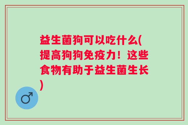 益生菌狗可以吃什么(提高狗狗力!这些食物有助于益生菌生长) 益生菌狗可以吃什么(提高狗狗力!这些食物有助于益生菌生长)