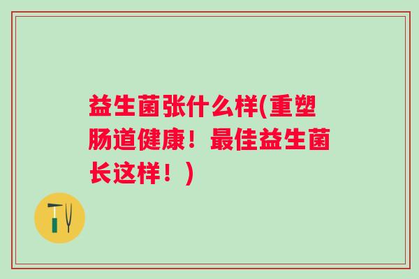 益生菌张什么样(重塑肠道健康!佳益生菌长这样!) 益生菌张什么样(重塑肠道健康!佳益生菌长这样!)