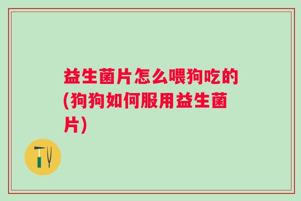 益生菌片怎么喂狗吃的(狗狗如何服用益生菌片) 益生菌片怎么喂狗吃的(狗狗如何服用益生菌片)
