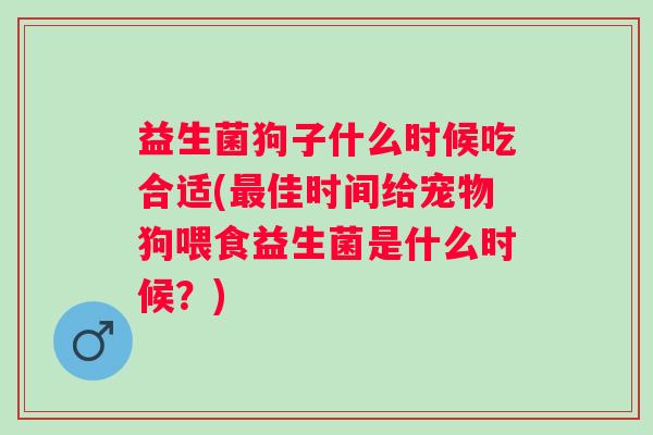 益生菌狗子什么时候吃合适(佳时间给宠物狗喂食益生菌是什么时候?) 益生菌狗子什么时候吃合适(佳时间给宠物狗喂食益生菌是什么时候?)