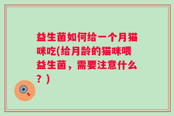 益生菌如何给一个月猫咪吃(给月龄的猫咪喂益生菌,需要注意什么?) 益生菌如何给一个月猫咪吃(给月龄的猫咪喂益生菌,需要注意什么?)