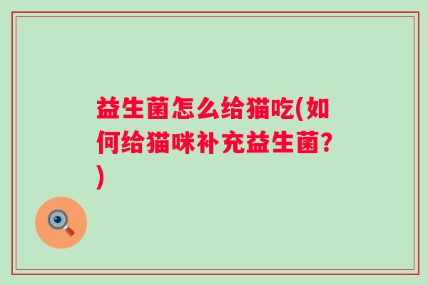 益生菌怎么给猫吃(如何给猫咪补充益生菌？)