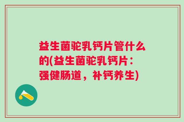 益生菌驼乳钙片管什么的(益生菌驼乳钙片：强健肠道，补钙养生)