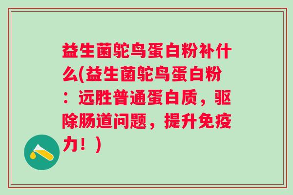 益生菌鸵鸟蛋白粉补什么(益生菌鸵鸟蛋白粉：远胜普通蛋白质，驱除肠道问题，提升力！)