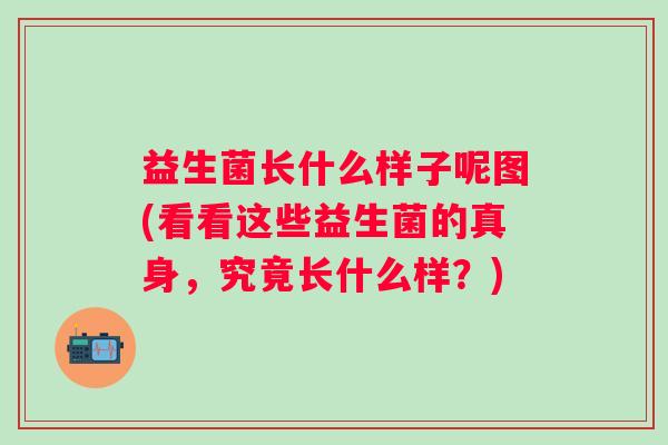 益生菌长什么样子呢图(看看这些益生菌的真身，究竟长什么样？)