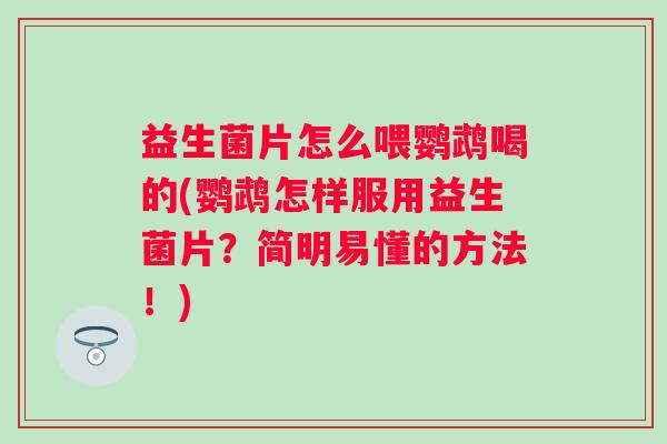 益生菌片怎么喂鹦鹉喝的(鹦鹉怎样服用益生菌片?简明易懂的方法!) 益生菌片怎么喂鹦鹉喝的(鹦鹉怎样服用益生菌片?简明易懂的方法!)