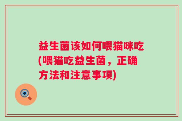益生菌该如何喂猫咪吃(喂猫吃益生菌，正确方法和注意事项)