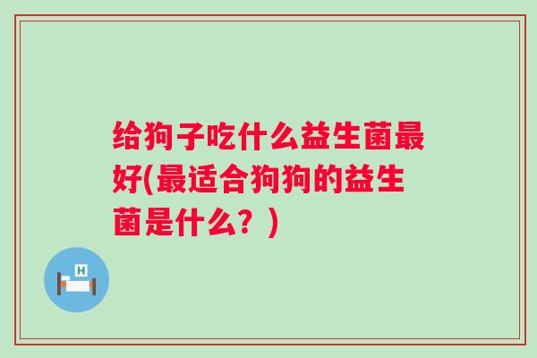 给狗子吃什么益生菌好(适合狗狗的益生菌是什么？)