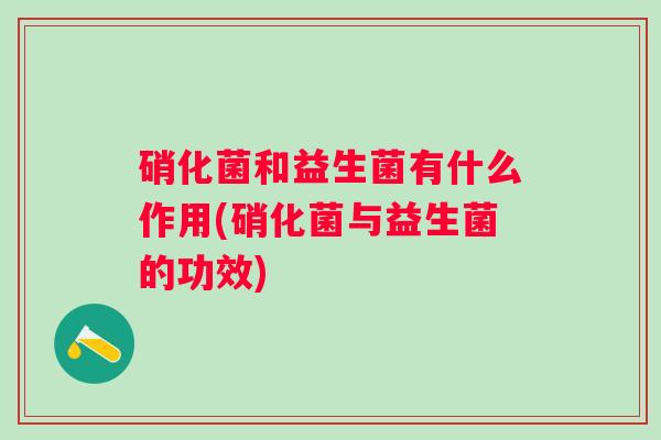 硝化菌和益生菌有什么作用(硝化菌与益生菌的功效)