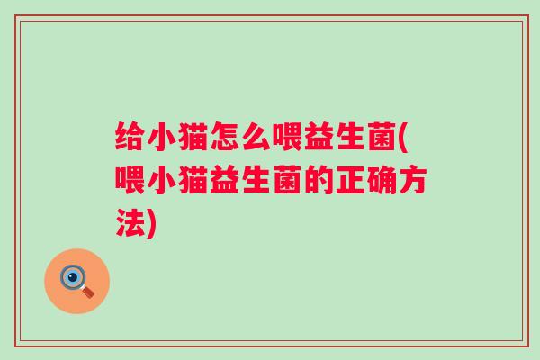 给小猫怎么喂益生菌(喂小猫益生菌的正确方法)