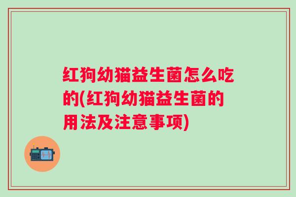 红狗幼猫益生菌怎么吃的(红狗幼猫益生菌的用法及注意事项) 红狗幼猫益生菌怎么吃的(红狗幼猫益生菌的用法及注意事项)