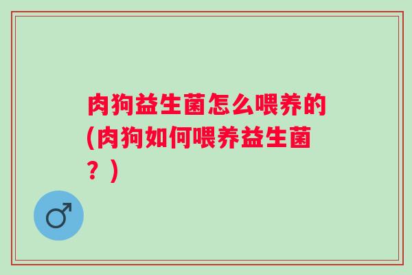 肉狗益生菌怎么喂养的(肉狗如何喂养益生菌?) 肉狗益生菌怎么喂养的(肉狗如何喂养益生菌?)