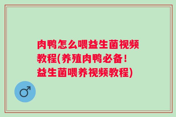 肉鸭怎么喂益生菌视频教程(养殖肉鸭必备！益生菌喂养视频教程)