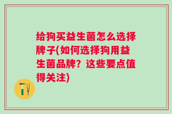 给狗买益生菌怎么选择牌子(如何选择狗用益生菌品牌？这些要点值得关注)