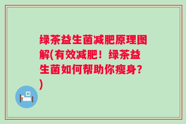 绿茶益生菌原理图解(有效！绿茶益生菌如何帮助你瘦身？)
