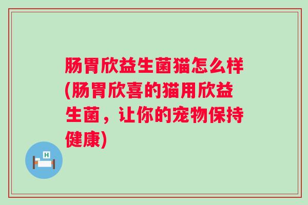 肠胃欣益生菌猫怎么样(肠胃欣喜的猫用欣益生菌,让你的宠物保持健康) 肠胃欣益生菌猫怎么样(肠胃欣喜的猫用欣益生菌,让你的宠物保持健康)