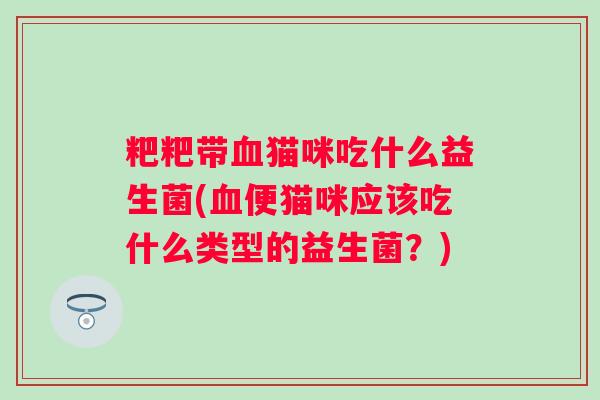 粑粑带猫咪吃什么益生菌(便猫咪应该吃什么类型的益生菌？)