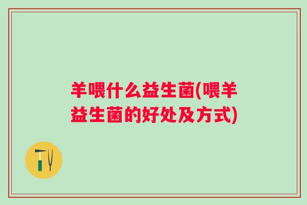 羊喂什么益生菌(喂羊益生菌的好处及方式)