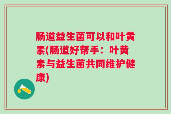 肠道益生菌可以和叶黄素(肠道好帮手：叶黄素与益生菌共同维护健康)