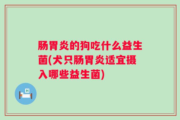 肠的狗吃什么益生菌(犬只肠适宜摄入哪些益生菌) 肠的狗吃什么益生菌(犬只肠适宜摄入哪些益生菌)