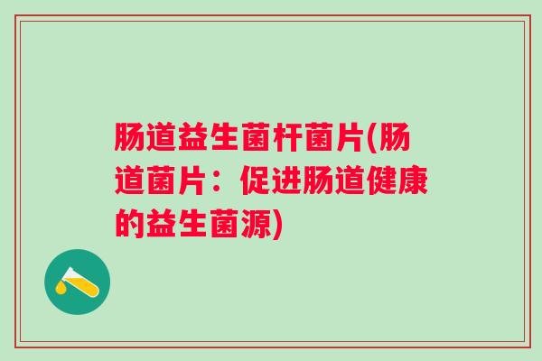 肠道益生菌杆菌片(肠道菌片：促进肠道健康的益生菌源)
